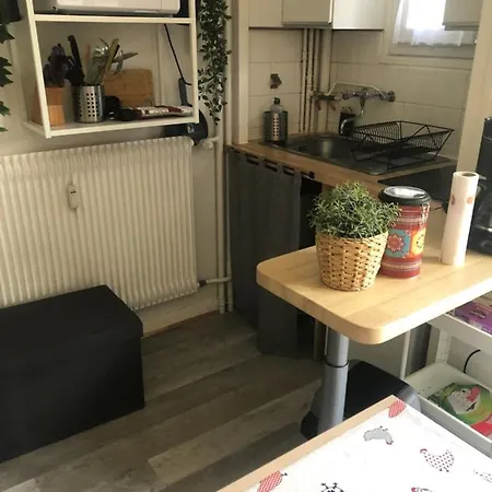 Renove Prive Proche De Toutes Commodites Et Loisirs, Place Parking Inclus Apartman La Bourboule