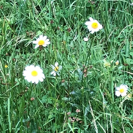 Renove Prive Proche De Toutes Commodites Et Loisirs, Place Parking Inclus * La Bourboule